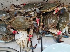 -和谐号蒸汽海鲜烤肉自助餐厅(欧亚新生活店)