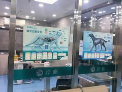 -万博宠物医院·手术·诊疗(未央凤城五路店)