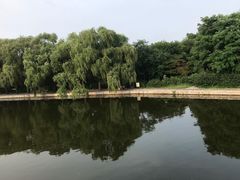 -北陵公园
