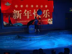 -石家庄海洋公园