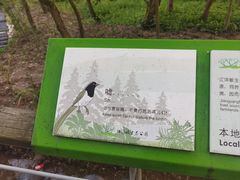 -西湖风景区-江洋畈生态公园