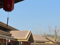 -千年银杏谷文化旅游区