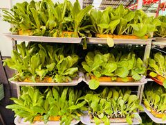 -阳光山水江湖菜馆(西山龙门店)