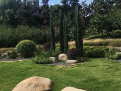 -荆川公园