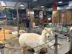 -上海大自然野生昆虫馆(东方明珠·爬宠昆虫探索中心)