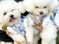 -上海神旺大酒店