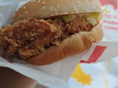 -麦当劳(红旗路店)