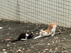 -南京邮电大学(仙林校区)