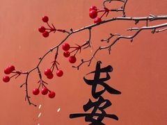 -大慈恩寺(大雁塔)