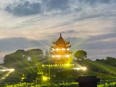 -上海海湾国家森林公园