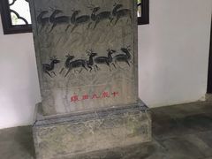 -上海醉白池公园