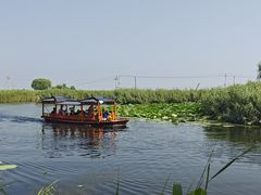 -白洋淀风景区