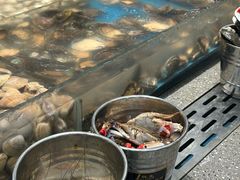 -半岛听涛蒸汽海鲜自助(K11店)