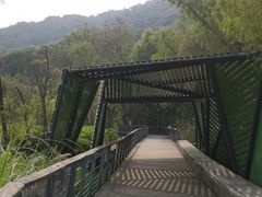 -西湖风景区-江洋畈生态公园
