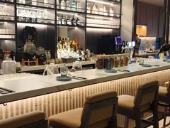 -新加坡乌节希尔顿酒店 (SG Clean)