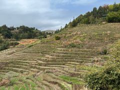 -南靖田螺坑土楼群景区