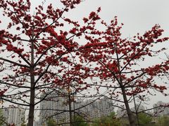 -文华公园(禅城区)