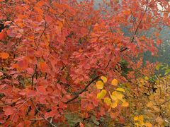 -香山公园-东宫门售票处