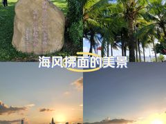 -深圳湾公园(南山区)