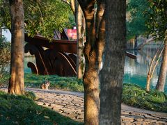 -西溪国家湿地公园