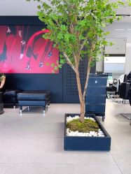-付军剪艺JF ProSalon