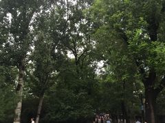 -莲湖公园
