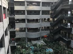 -黑龙江中医药大学附属第一医院