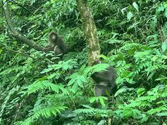 -西岭雪山大飞水景区