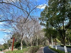 -良渚文化村