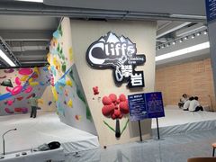 -CLIFFS颗粒攀岩(萧山众安店)