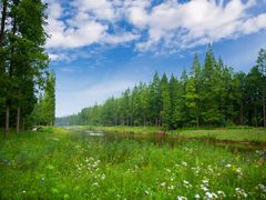 -黄海国家森林公园