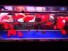 -三旗百汇商品城