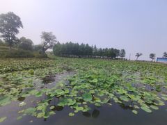 -滆湖低碳生态公园