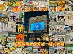 -东莞松山湖万象汇