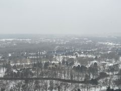 -大兴滨河森林公园