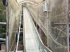 -嵖岈山风景区