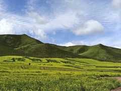 -扁都口生态休闲旅游区