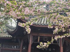 -棠湖公园