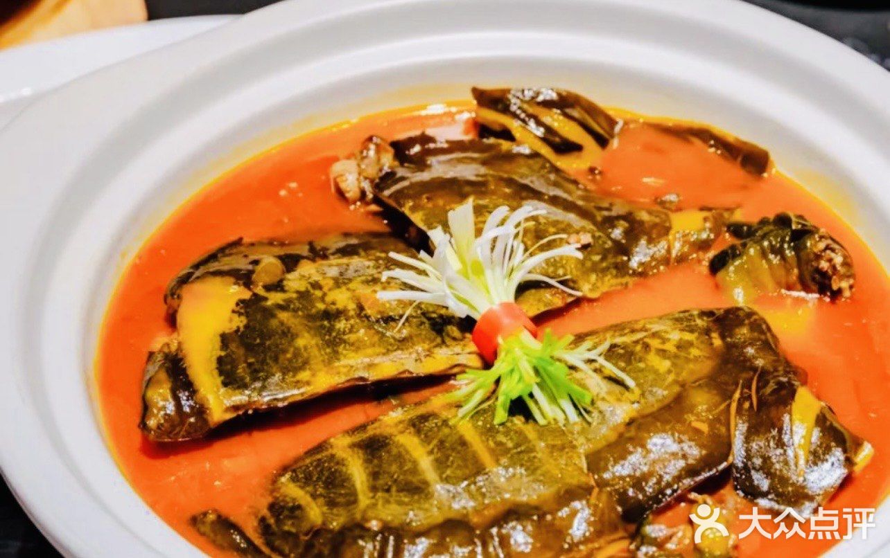 品鉴午间美味佳肴