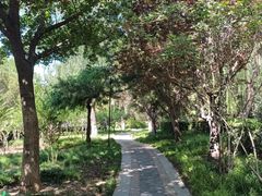 -元大都城垣遗址公园