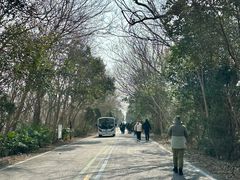 -盐城丹顶鹤湿地生态旅游区