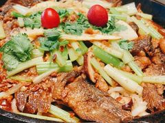 -老板恋上鱼(印象城店)
