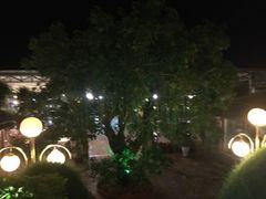 -越海渔村