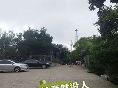 -紫金山山顶公园