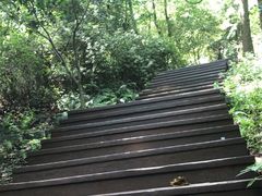 -潜山国家森林公园