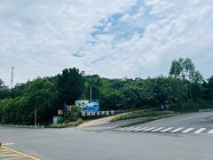 -美的鹭湖森林度假区