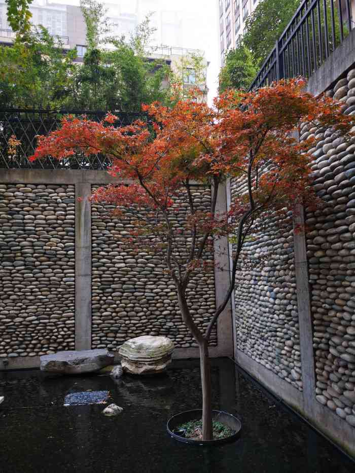 沐心茶室-"下午和姐妹约茶,临时决定去沐心的,运气还.