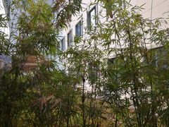 -景德镇中国陶瓷博物馆西山湖凯莱度假酒店