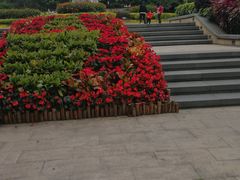-金鸡山公园