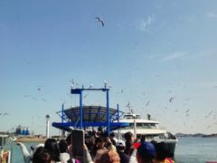 -海驴岛(荣成市)